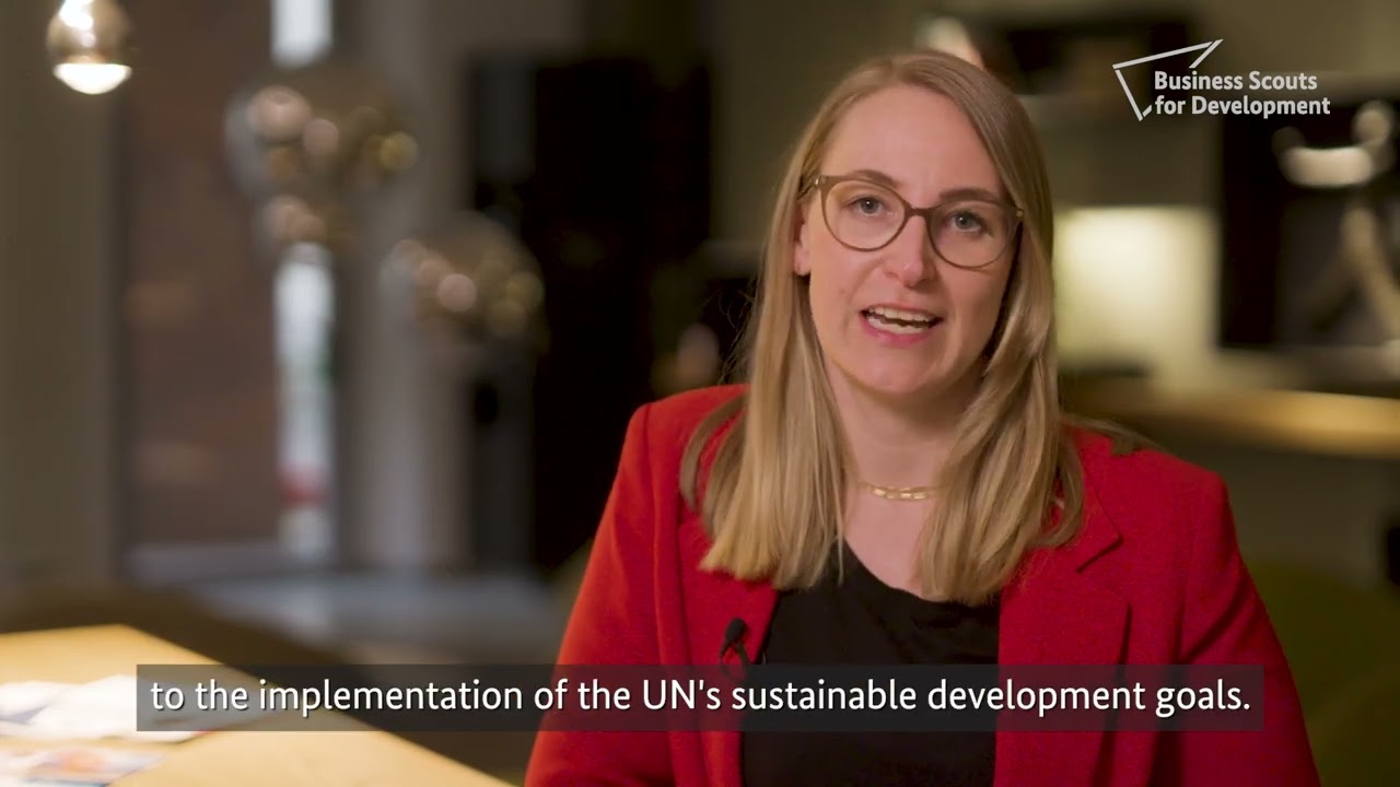 Video Business Scouts for Development