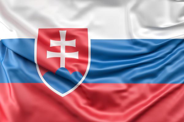Die Flagge der Slowakei