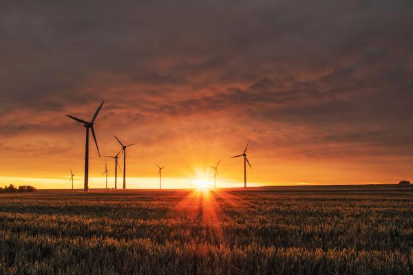 Windkraftanlagen auf einem Getreidefeld