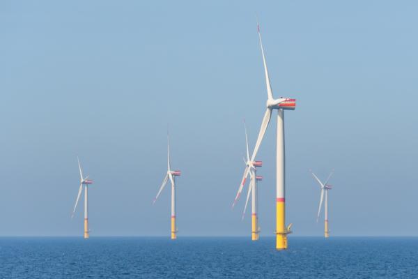 Mehrere Windräder in der Ostsee